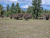 Buy the village of glampings "Dawn of Tungur" from Belukha land plots of the Altai Mountains